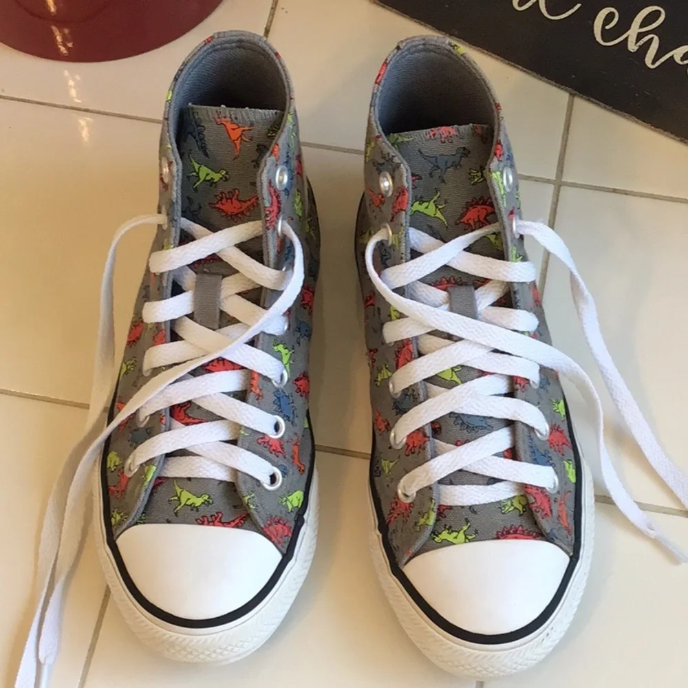 ‘Converse’ Grade School Dinoverse Hi-Top Sneakers